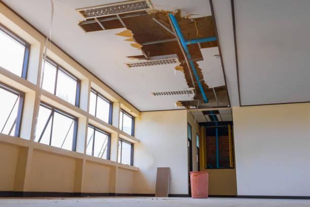 Best Professional water damage repair  in Corpus Christi, TX