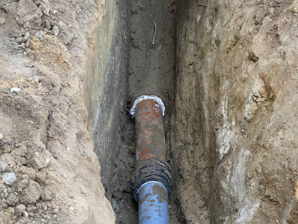Best Flood damage cleanup  in Corpus Christi, TX