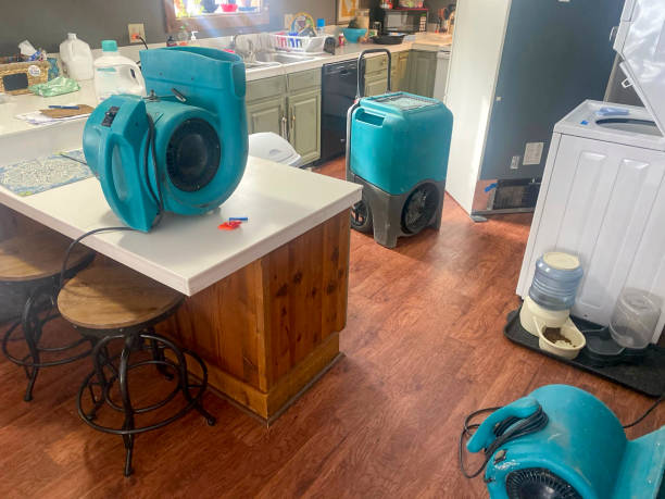24/7 water damage repair in Corpus Christi, TX
