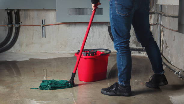 Best Mold removal after water damage  in Corpus Christi, TX